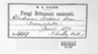 Image Associated With the Occurence